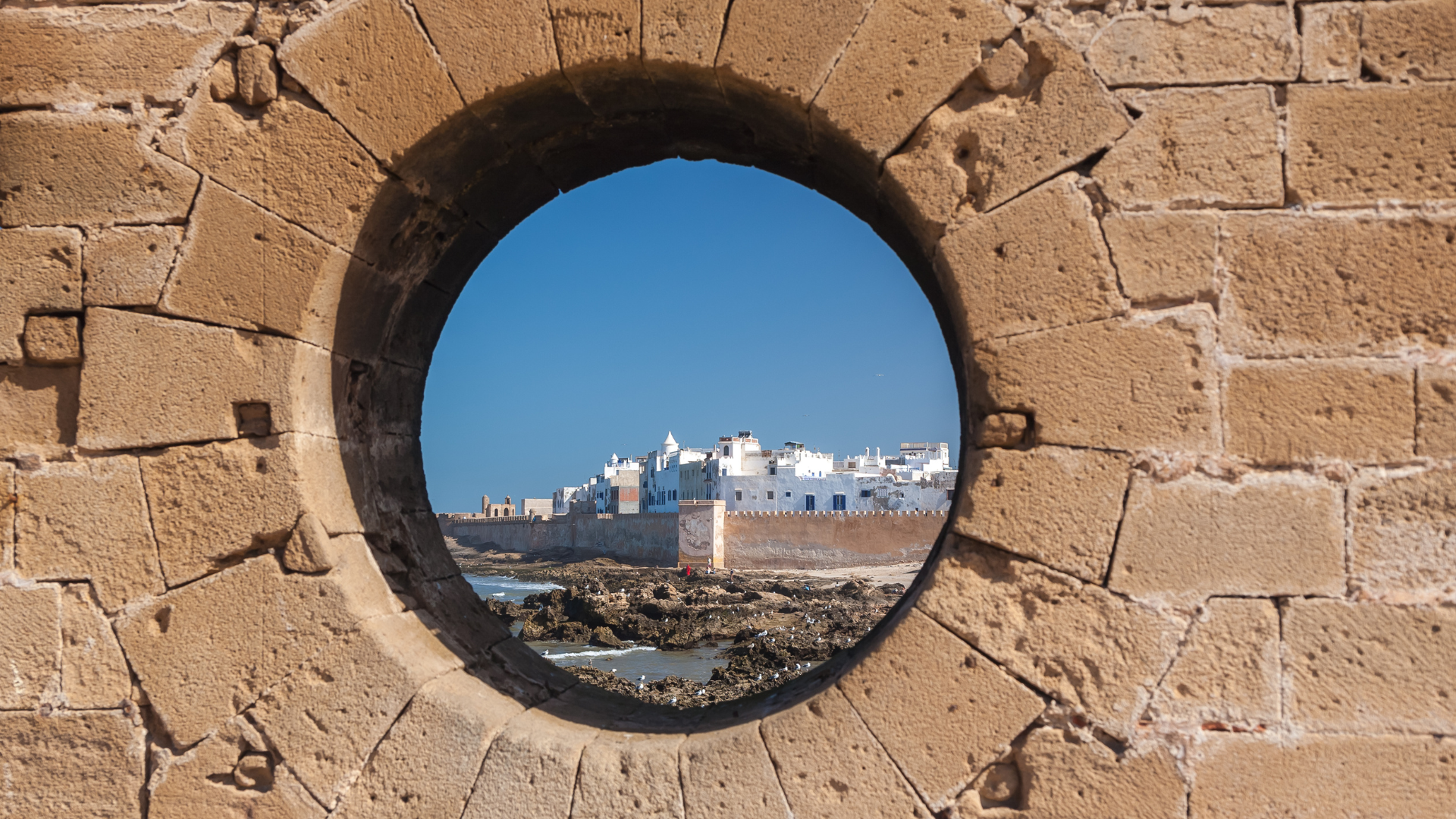 Excursión de un día de Marrakech a Essaouira