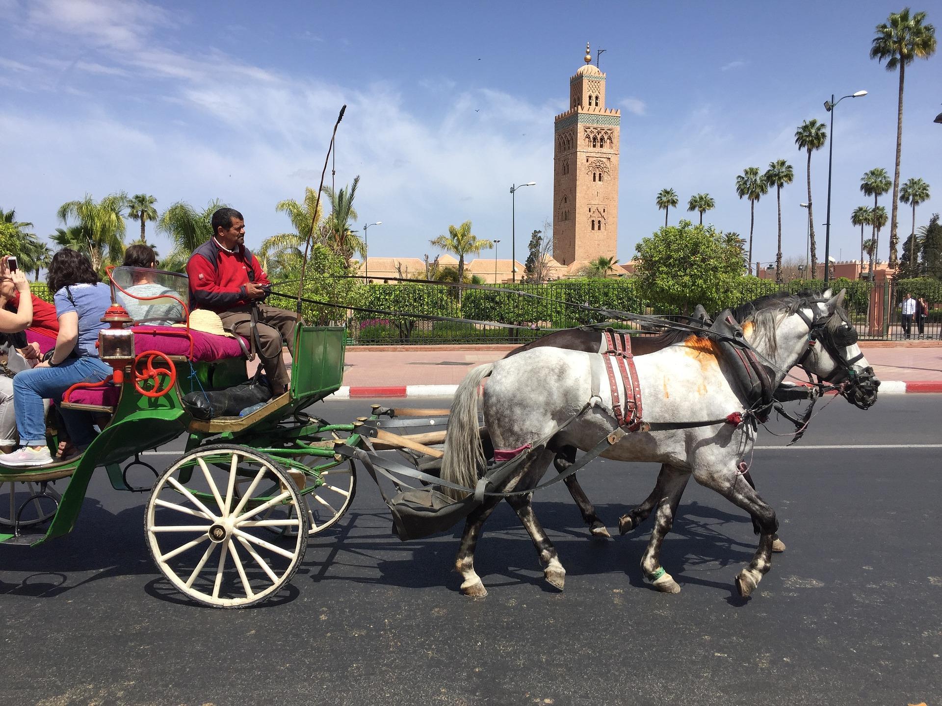 Viaje de 6 dias desde Marrakech